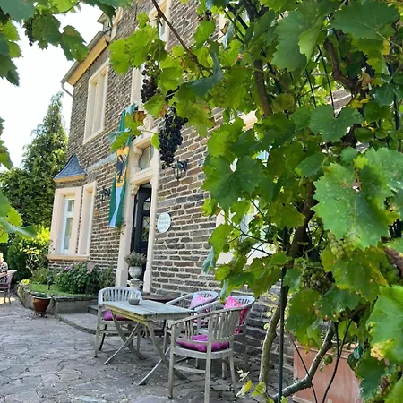 Haus Nummer 1, Moselblick Reil Exterior photo