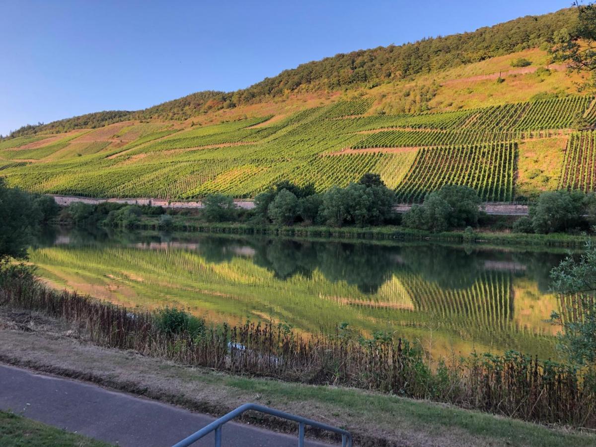 Apartment Haus Nummer 1, Moselblick Reil