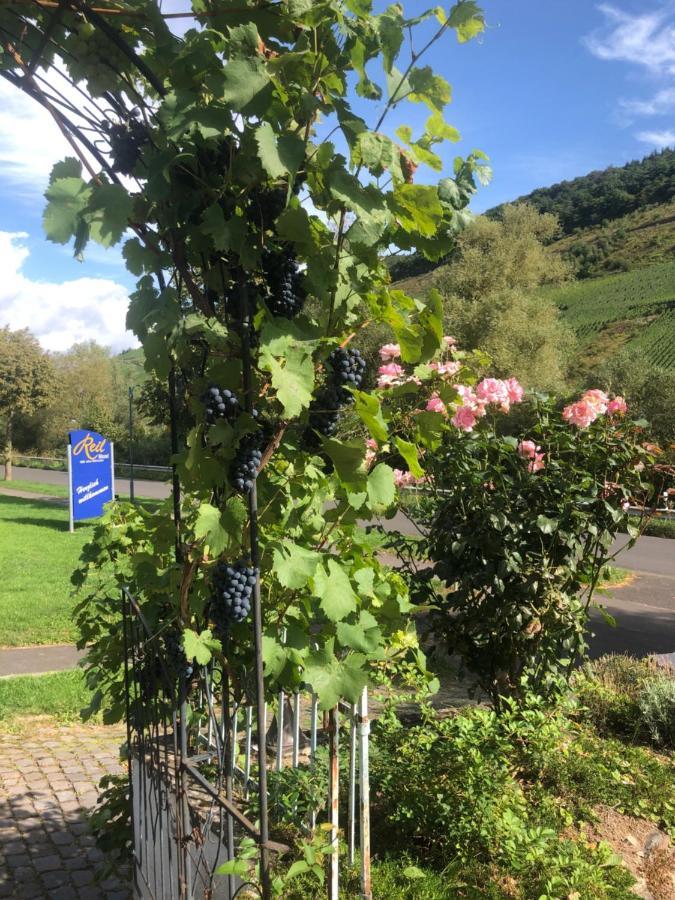 Haus Nummer 1, Moselblick *