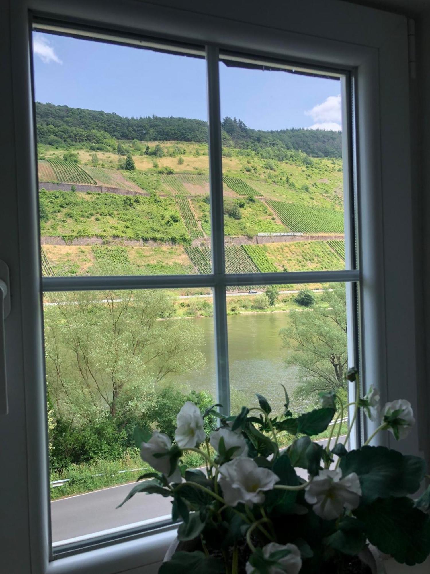 Haus Nummer 1, Moselblick Apartment
